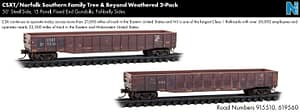 CSXT/NS FAMILY TREE & BEYOND WEATHERED 2 PACK