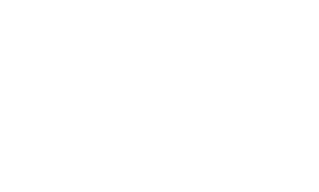 logo light