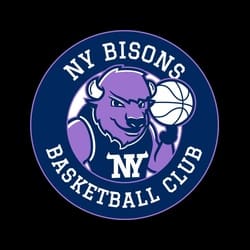 NY Bisons Basketball Club logo