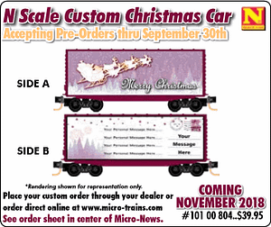 CUSTOM CHRISTMAS CAR - ONCE ORDER IS PLACED IT CANNOT BE CHANGED!! WE WILL SUBMIT YOUR SHORT MESSAGE FOR PRINTING EXACTLY AS SPELLED IN COMMENTS BOX OF ORDER!