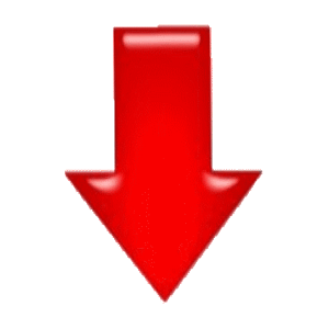 UP TWO TONE GRAY CHALLENGER MUSEUM VERSION W/ SMOKE DEFLECTORS #3977 -