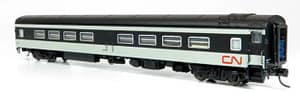 N Scale "The Rapido": CN Rail - Wet Noodle Scheme: 8-Car Set